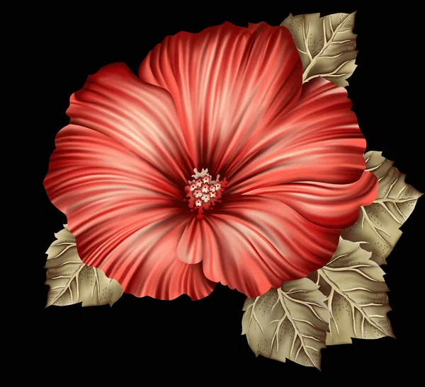 Ilustrace Krásného Makového Květu Přírodní Pozadí Nebo Tapety — Stock fotografie