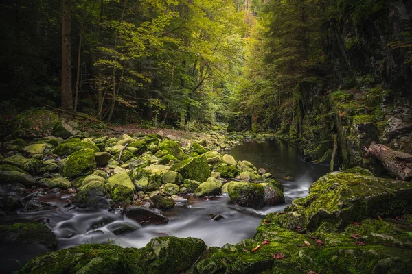 Bellissimo Paesaggio Naturale Nella Foresta Bavarese Con Vegetazione Fiume Wolfensteiner — Foto Stock