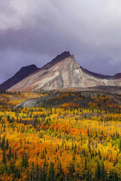 Veduta Delle Montagne Talkeetna Glacier View Alaska Alta Caduta — Foto Stock