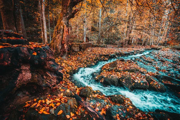 Eine Wunderschöne Herbstlandschaft Bayerischen Wäldern Mit Bäumen Und Buntem Laub — Stockfoto