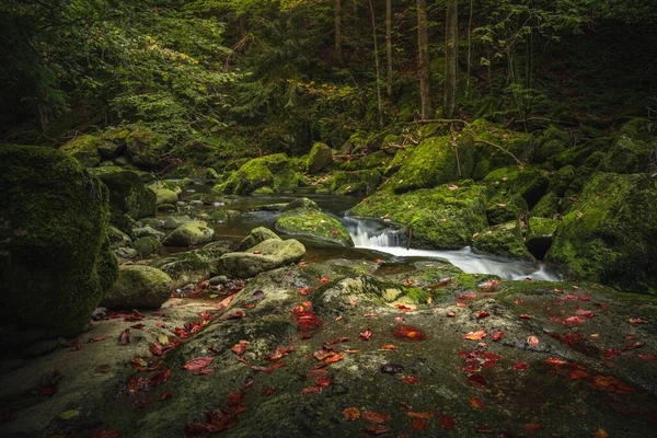 Krásná Přírodní Krajina Bavorském Lese Zelení Řeka Wolfensteiner Ohe Německu — Stock fotografie