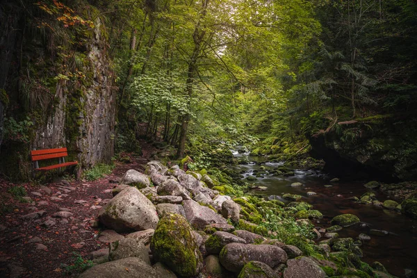 Beau Paysage Naturel Dans Forêt Bavaroise Avec Verdure Rivière Wolfensteiner — Photo