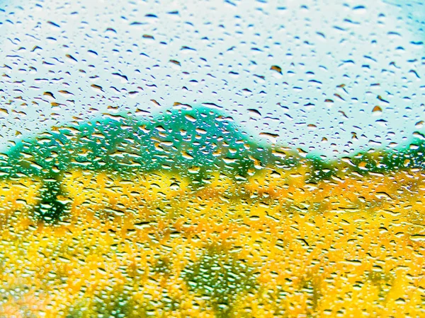 Ein Selektiver Fokus Von Regentropfen Auf Ein Fenster — Stockfoto