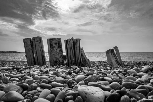 Gråskala Skott Trä Stockar Vågbrytare Sten Strand Gryningen — Stockfoto