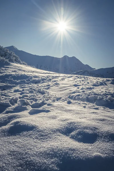 位于波兰塔特拉山的五大湖谷 Dolina Pieciu Stawow 冬季美景 — 图库照片