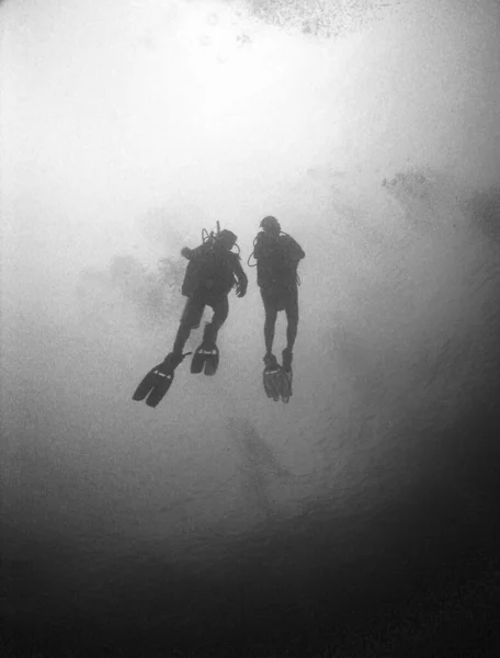 Вертикальный Снимок Двух Ныряльщиков Водой — стоковое фото