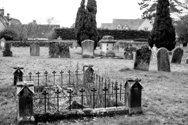 Túmulos Históricos Árvores Teixo Cemitério Painswick Inglaterra — Fotografia de Stock