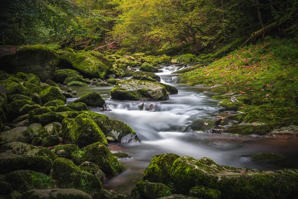 Uma Bela Paisagem Natural Floresta Bávara Com Vegetação Rio Wolfensteiner — Fotografia de Stock