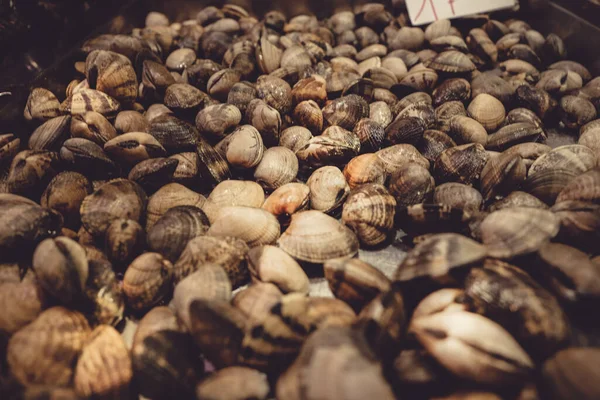 Closeup Shot Fresh Seashells Clams Seafood Market Barcelona Spain — Stock Photo, Image