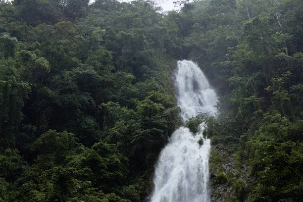 Прекрасний Вид Водоспад Тече Над Камінням Щільними Деревами — стокове фото