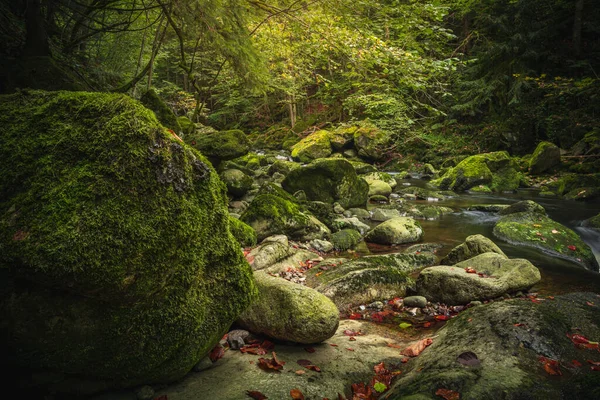 緑と川Wolfensteiner Oheドイツでバイエルンの森の美しい自然景観 — ストック写真