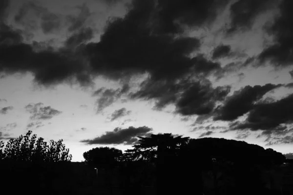 Eine Graustufenaufnahme Der Silhouetten Der Baumkronen Unter Einem Bewölkten Himmel — Stockfoto