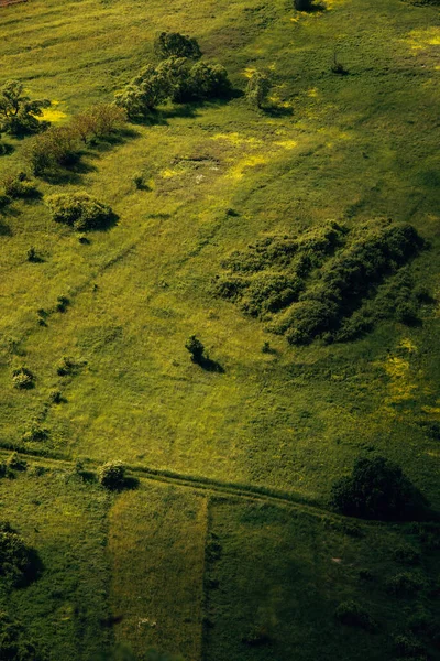 Een Verticale Opname Van Een Prachtig Bergachtig Landschap Met Groen — Stockfoto