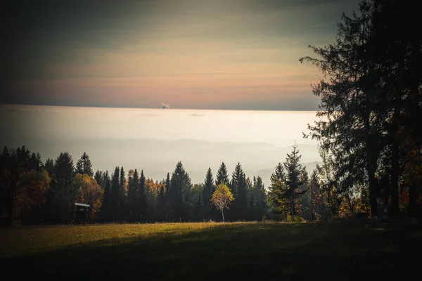 Ein Schöner Blick Auf Eine Herbstlandschaft Mit Bäumen Bayern Deutschland — Stockfoto