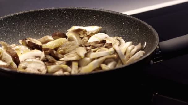 Fechar Cogumelos Ato Fritar Panela — Vídeo de Stock