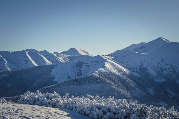 波兰西鞑靼山脉冬季景观 — 图库照片