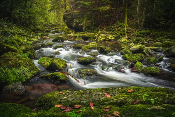 Beautiful Natural Landscape Bavarian Forest Greenery River Wolfensteiner Ohe Germany — Stock Photo, Image