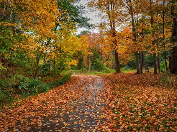 Hermoso Parque Otoño Con Follaje Colorido —  Fotos de Stock