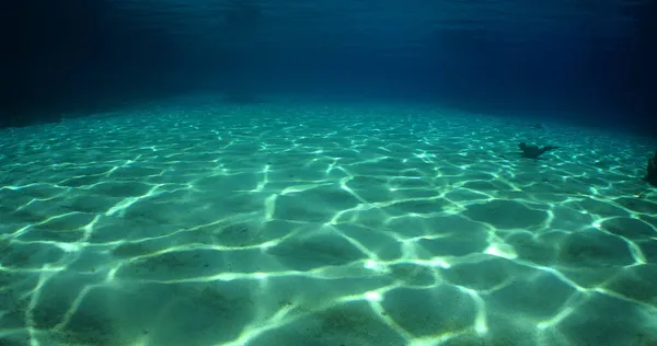 Una Vista Fascinante Bajo Mar Con Reflejos Sol — Foto de Stock