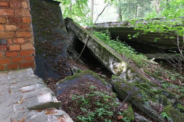 Ketrzyn Poland Temmuz 2021 Ketrzyn Gierloz Polonya Temmuz 2021 Wolfschanze — Stok fotoğraf