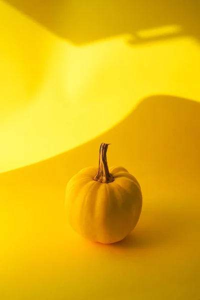 Disparo Vertical Una Calabaza Bajo Las Luces Sobre Fondo Amarillo — Foto de Stock