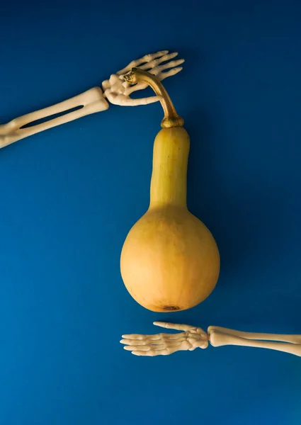 Tiro Vertical Squash Maduro Mãos Esqueleto Minúsculas Para Halloween Uma — Fotografia de Stock