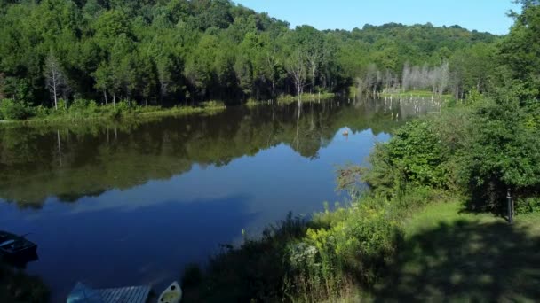 Vista Pitoresca Lago Entre Floresta Sem Fim Dia Ensolarado — Vídeo de Stock