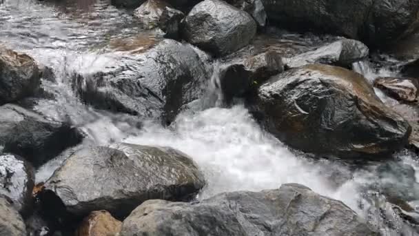 Hermoso Río Con Rocas Fondo Naturaleza Textura — Vídeos de Stock