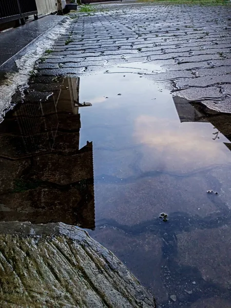 Eine Vertikale Aufnahme Einer Wasserpfütze Auf Der Straße Mit Spiegelung — Stockfoto