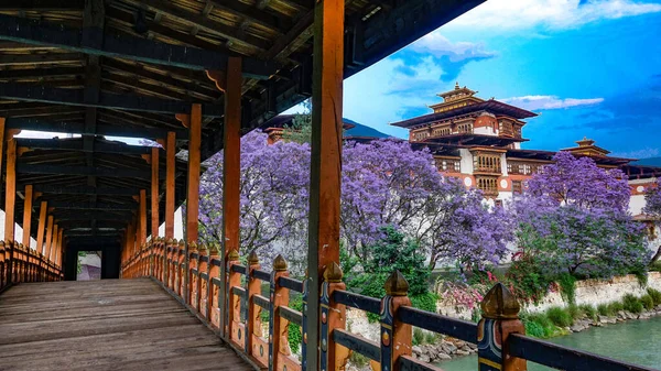 Die Schöne Punakha Dzong Oder Festung Aus Dem Jahrhundert Ist — Stockfoto