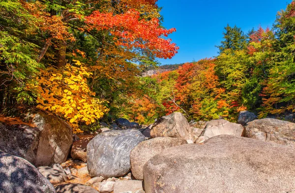 Een Prachtige Opname Van Een Landschap Overdag Herfst — Stockfoto