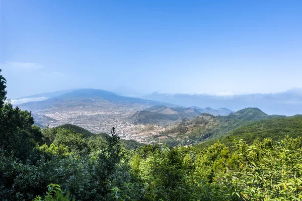 Una Splendida Vista Mirador Cruz Del Carmen Observation Deck Vega — Foto Stock