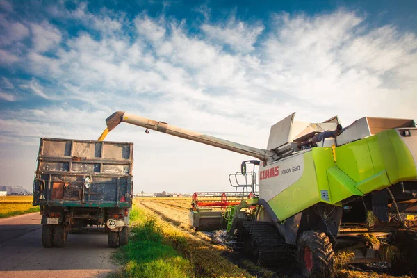 Sueca Espagne Sept 2021 Une Moissonneuse Batteuse Transfère Une Récolte — Photo