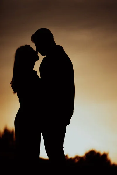 Una Silhouette Una Coppia Romantica Che Momento Intimo Bellissimo — Foto Stock