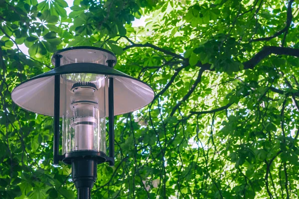 Een Straatlamp Met Groene Bomen Achtergrond — Stockfoto