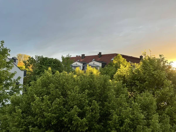 Das Hausdach Hinter Dickem Laub Bei Sonnenaufgang — Stockfoto