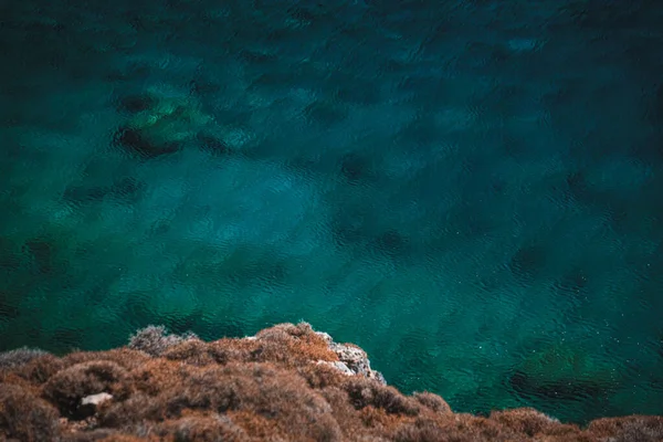 Eine Nahaufnahme Von Korallenriffen Und Dem Blauen Meer — Stockfoto