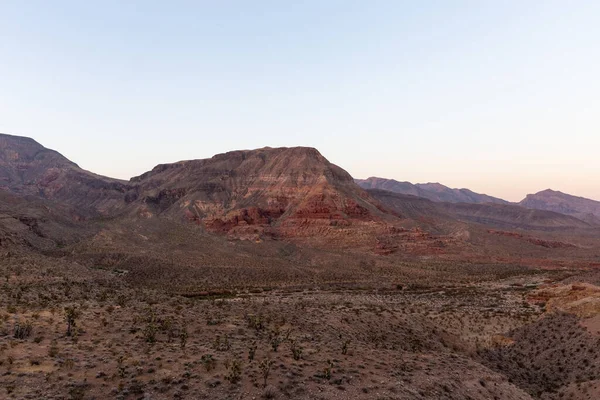 American Southwest Desert Plants Red Mountain Formations Arizona Usa — Stock Photo, Image