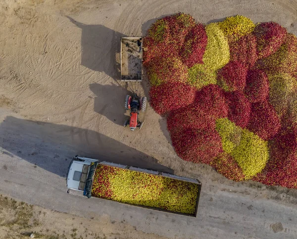 Widok Góry Kolorowe Owoce Transportowane Zakładów Przemysłowych Produkcji Soku — Zdjęcie stockowe