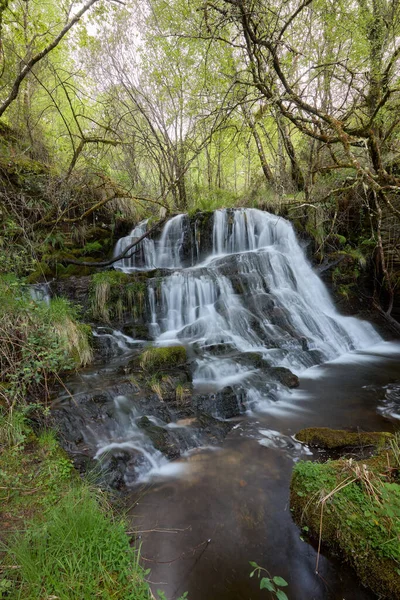 Een Schilderachtige Waterval Een Prachtig Bos Omgeving Van Galicië Spanje — Stockfoto