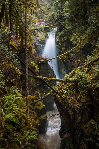 Uma Cachoeira Maravilhosa Uma Selva Musgosa — Fotografia de Stock
