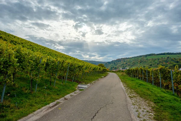 Een Schilderachtige Groene Wijngaard Landschap Onder Een Bewolkte Lucht — Stockfoto