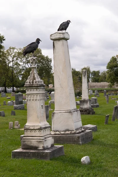 Tiro Vertical Abutres Negros Sobre Lápides Cemitério Sob Céu Nublado — Fotografia de Stock