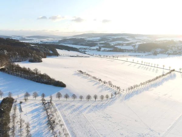 一片白色的冬季风景 雪地铺满了雪 夕阳西下的小径上都是树 冬季在德国中部的一个乡间拍摄的无人机 — 图库照片