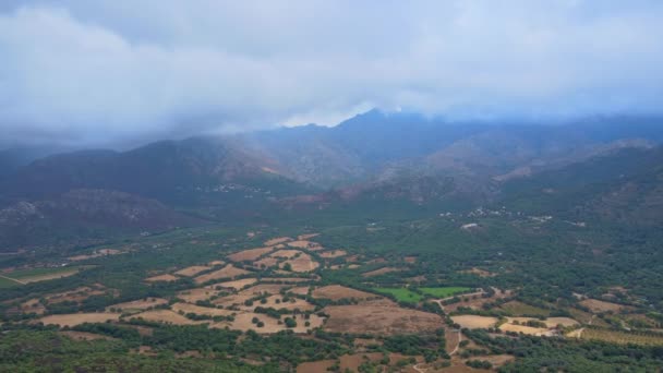 Vista Panorâmica Planície Com Floresta Montanhas Fundo — Vídeo de Stock