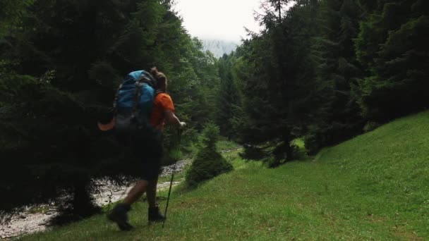 Młody Człowiek Wędrujący Górskim Lesie — Wideo stockowe