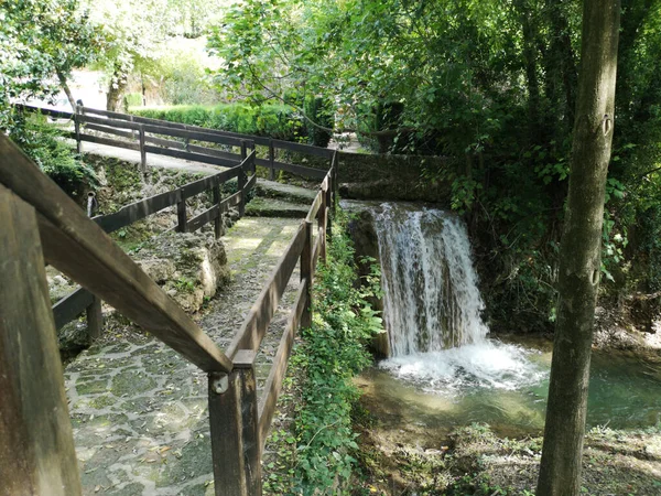 Cascade Dans Forêt — Photo