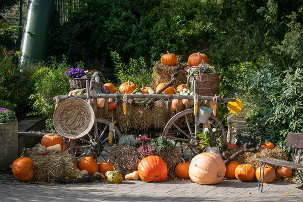 Beau Cliché Des Décorations Halloween Extérieur Pendant Journée — Photo