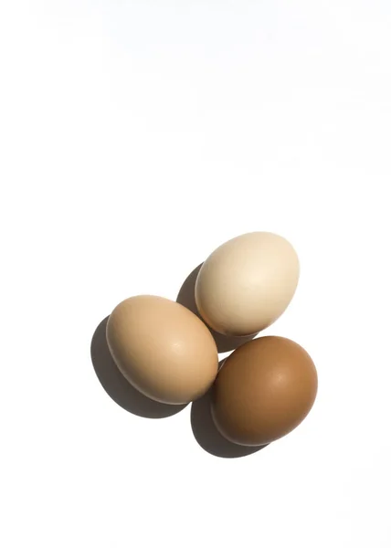 Která Líbila Minimalistická Fotka Tří Různých Vajec — Stock fotografie