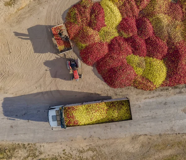 Vista Superior Frutas Colores Transportan Planta Producción Industrial Para Jugo — Foto de Stock